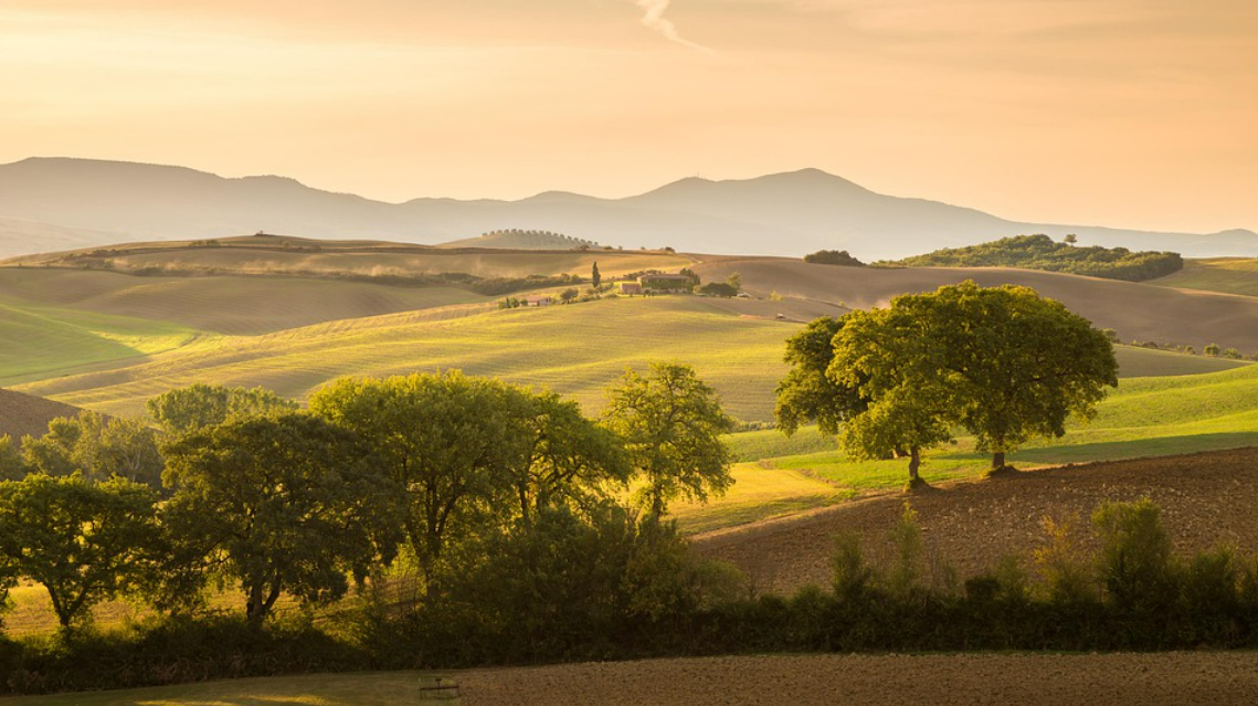 €162m in Italian aid for agriculture approved by EU