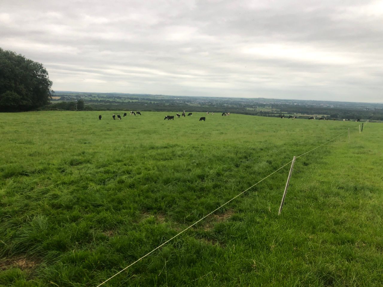 CAP: Potential for young farmer TAMS grant to buy land