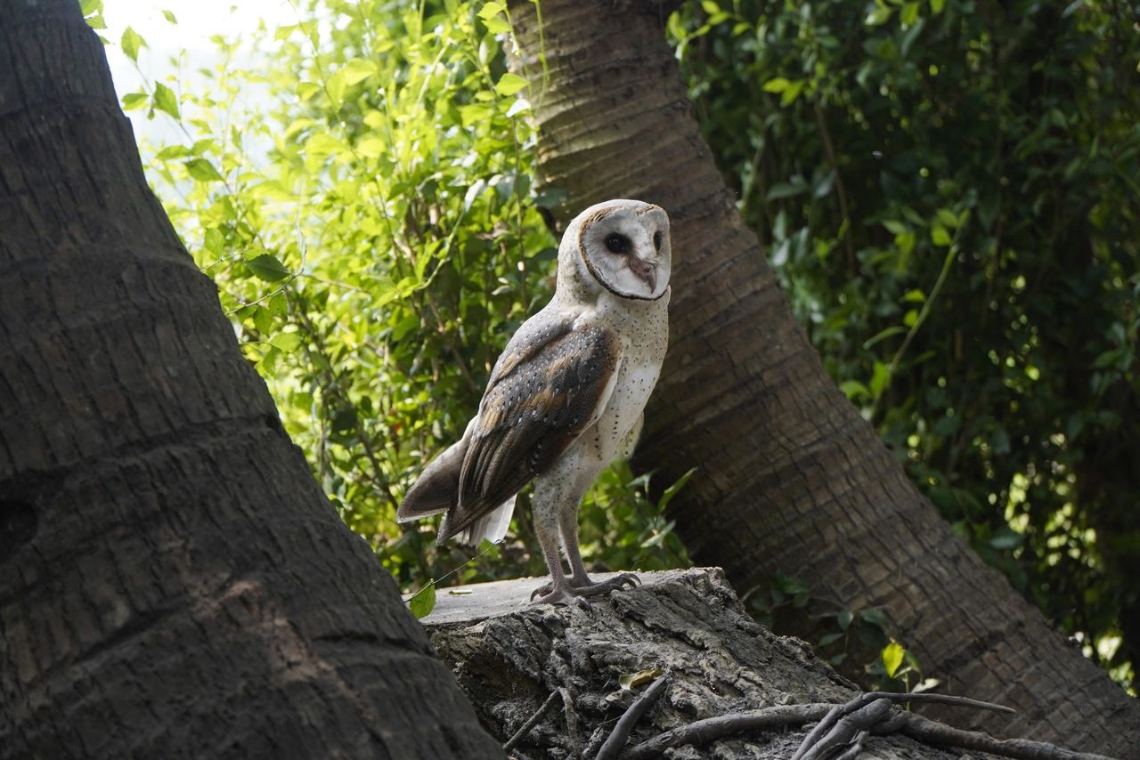 €3m Local Biodiversity Action Fund launched