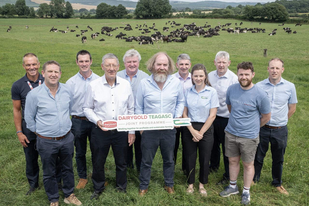 New programme focuses on profitable, sustainable dairy farming