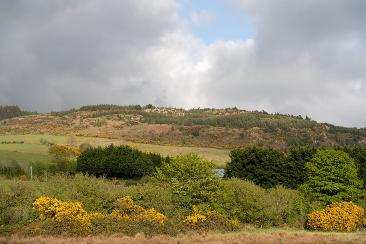 Coillte warns land owners to 'obey restrictions' on land burning