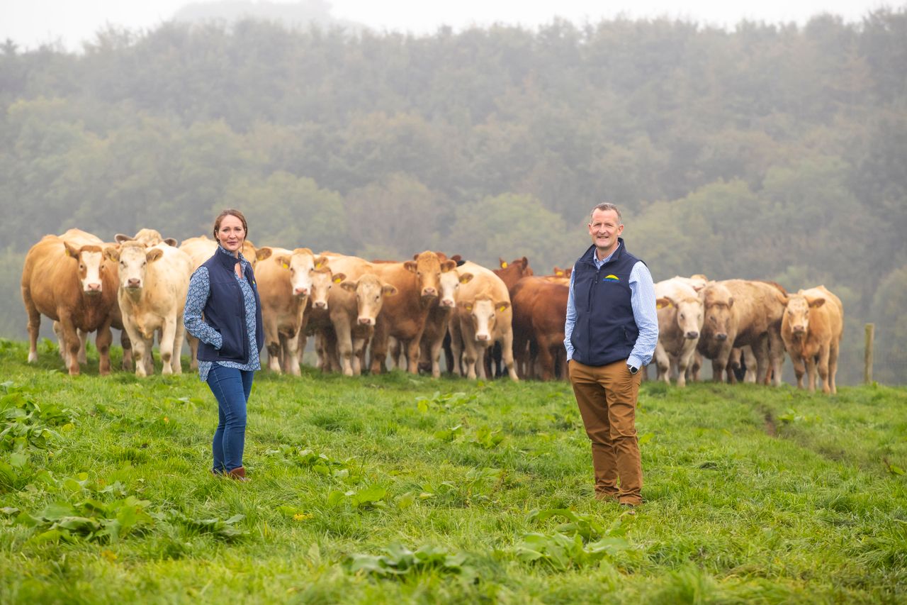 Dawn Meats sources 96% of Irish cattle from QA farms