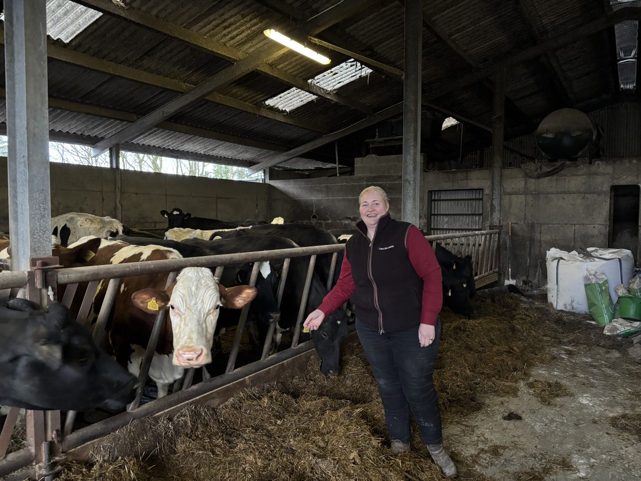 Listen: Shift work and sunrise milkings in Co. Clare