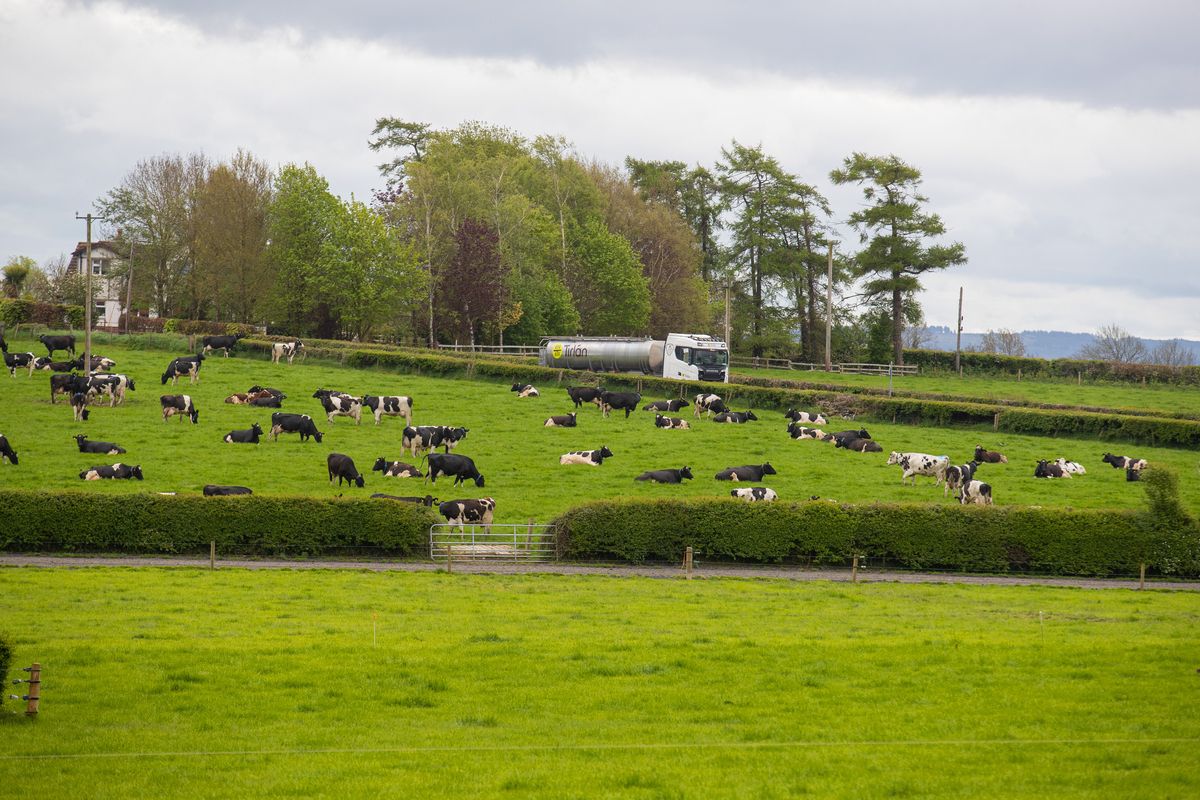 Tirlán confirms members will receive €6 million trading bonus