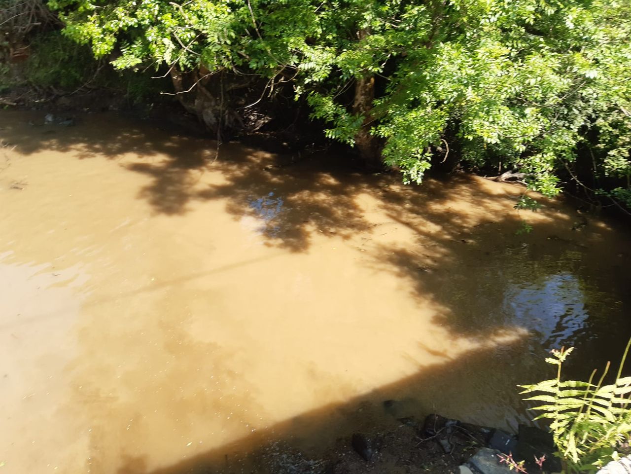 IFI: Warning issued as landowner fined for disturbance of river habitat