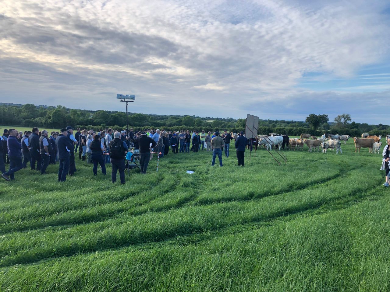 Home-produced nitrogen draws farmer interest at IGA beef event