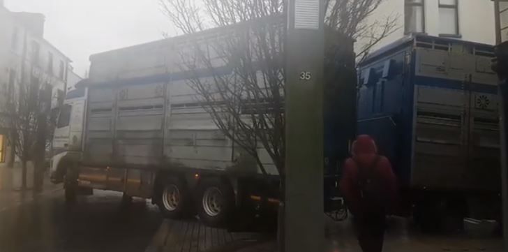 Cattle lorry gets stuck in narrow Castlebar side street