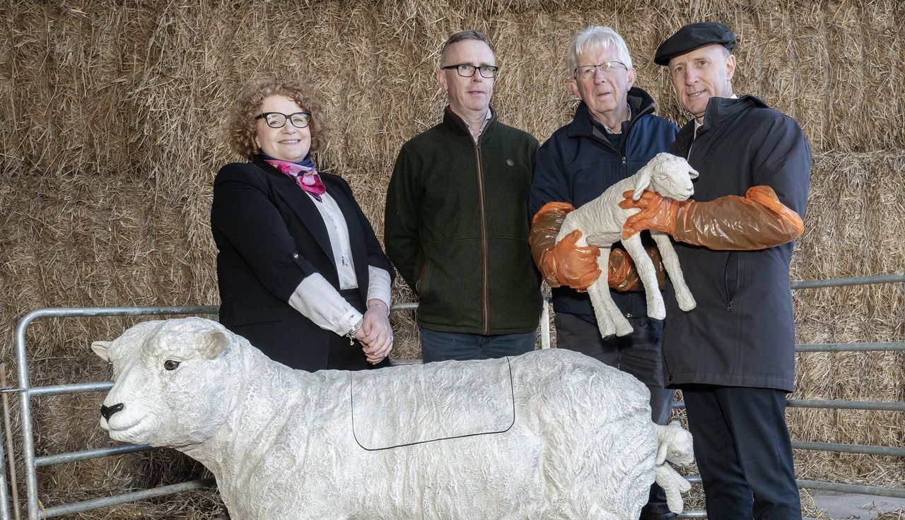 DAFM invests €320k into ewe simulators for students