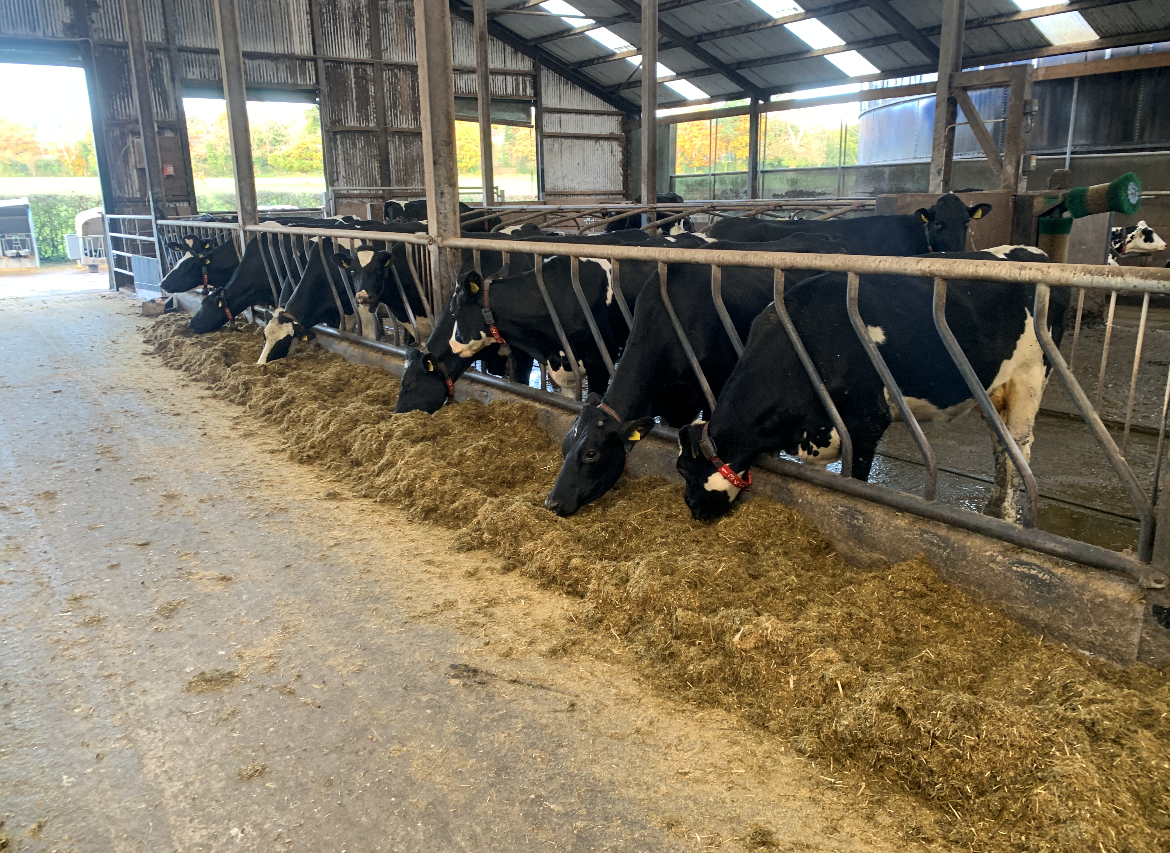 Silage slippage a major issue in Northern Ireland