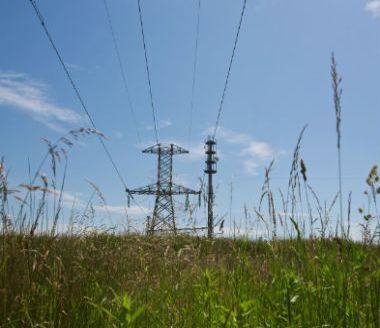 Landowners said to be missing out on electricity line compensation