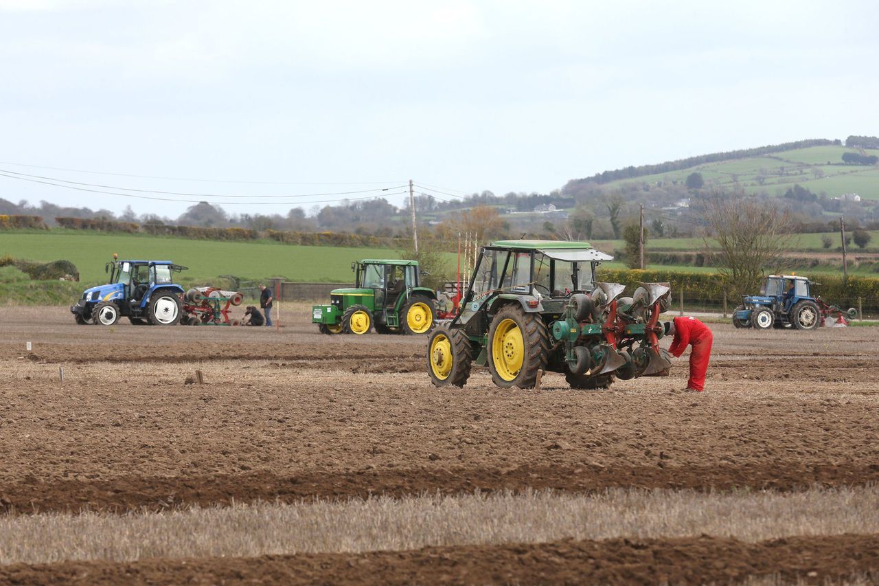 Competitors getting set for European ploughing this weekend