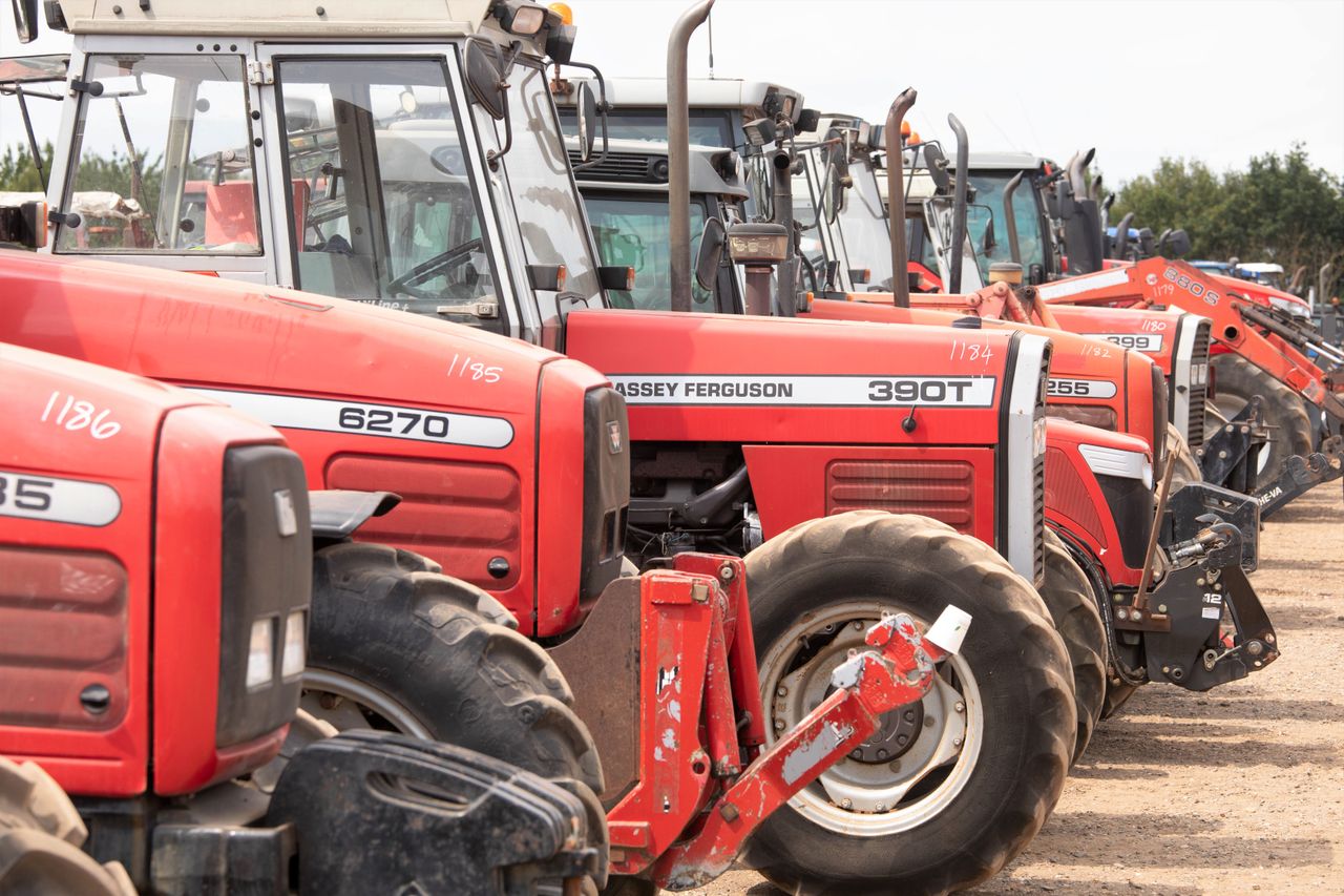 Auction report: Bargains among the MFs at this month's sale?