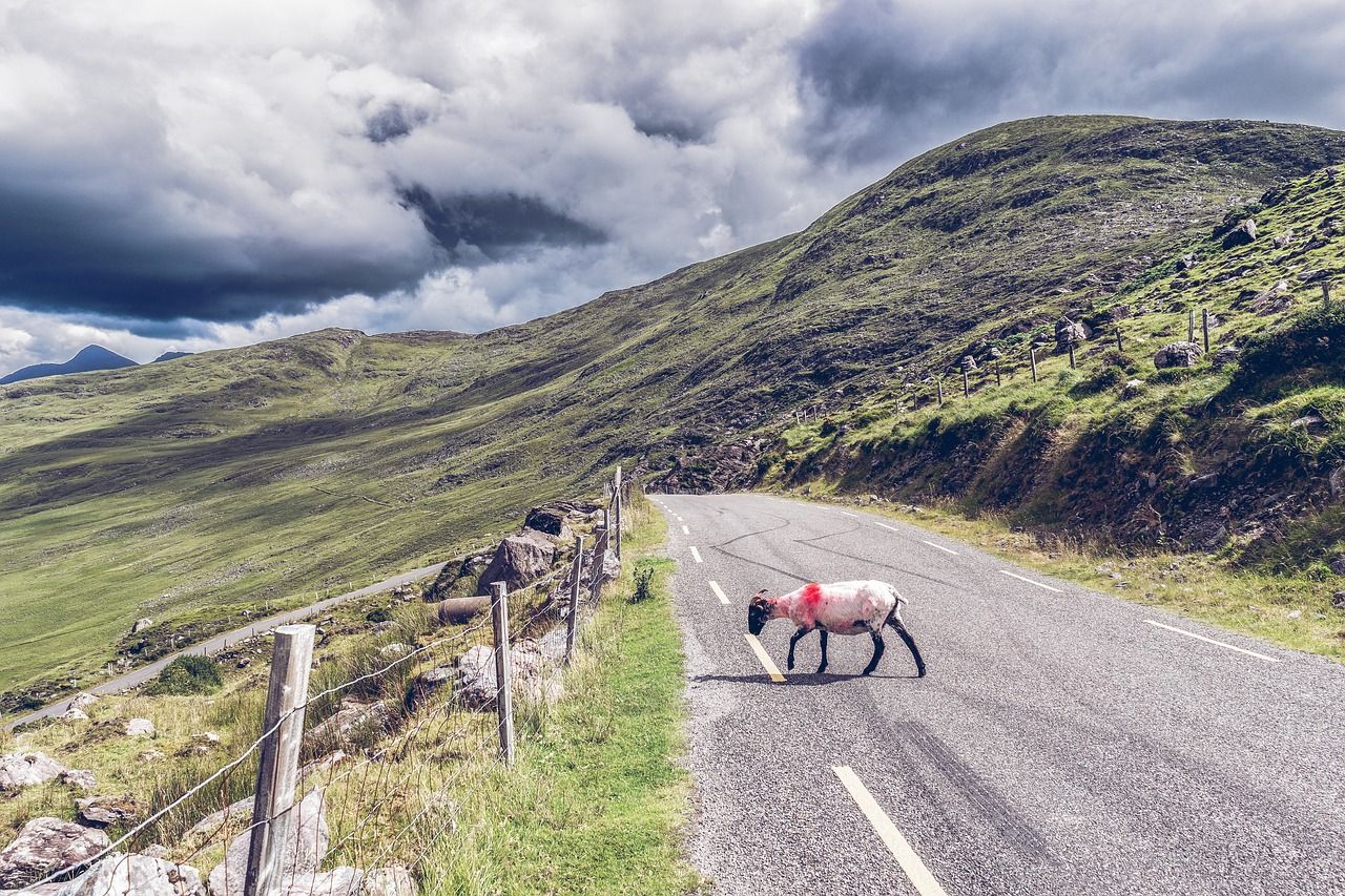 Met Éireann: Unsettled start to week, before colder conditions set in