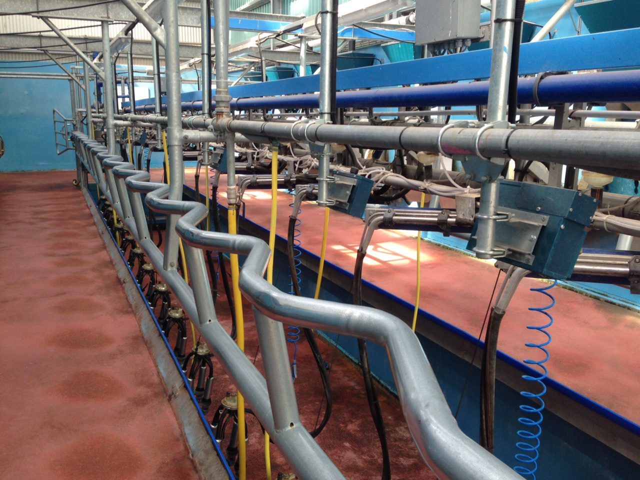Average Glanbia dairy loan sought exceeds expectations