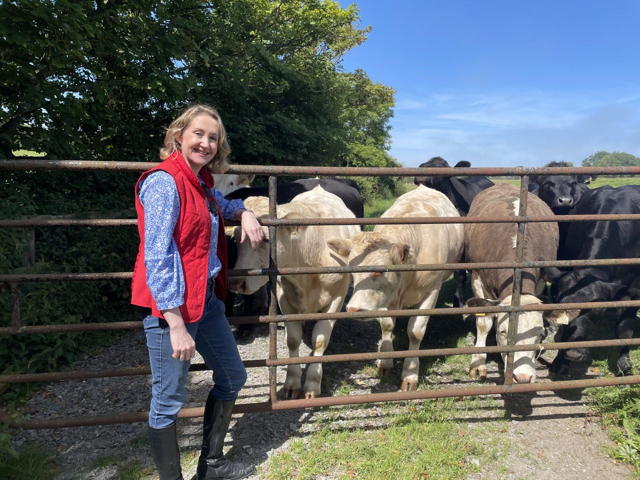 Irish Rural Link acquires farm safety education platform AgriKids