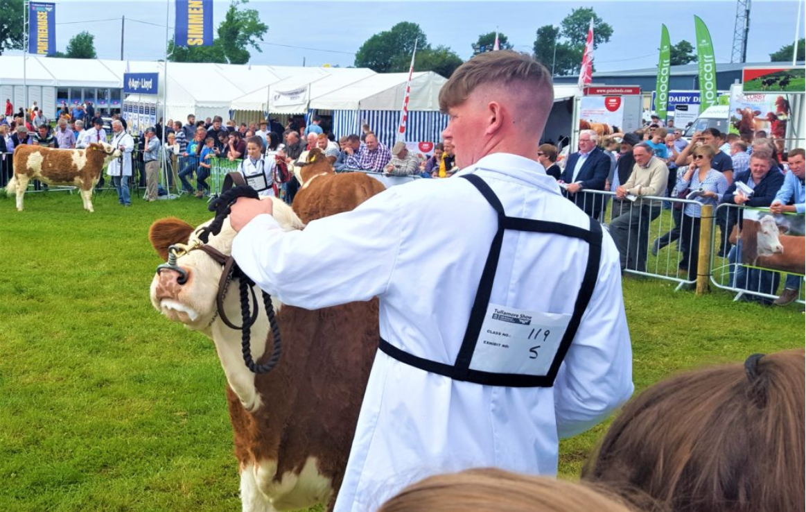 Site map: Find what's where at Tullamore Show 2019