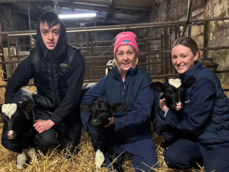 'Great surprise' for Cork farmer as triplet Friesian heifers born