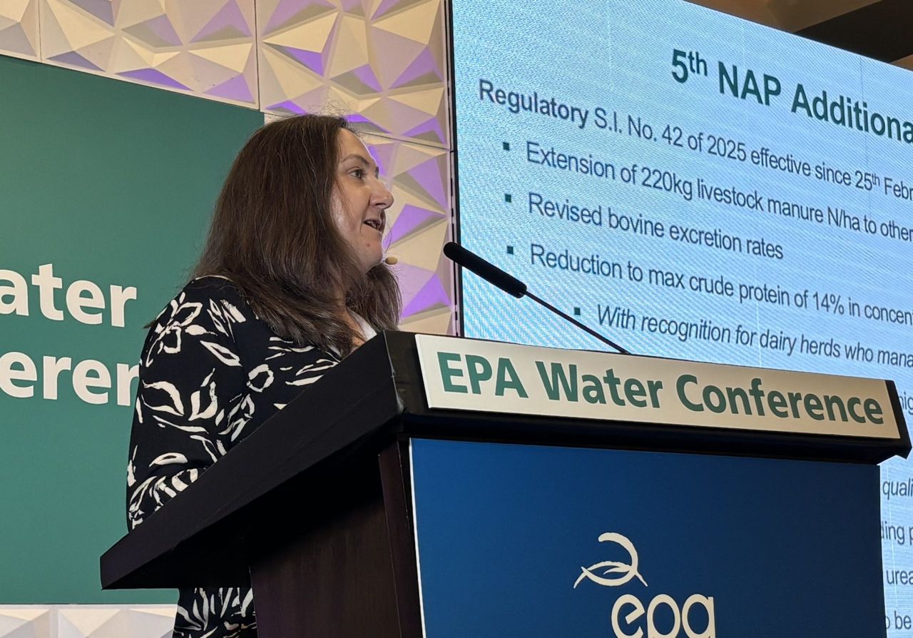 Watch: 'Unprecedented' engagement across industry as derogation decision looms