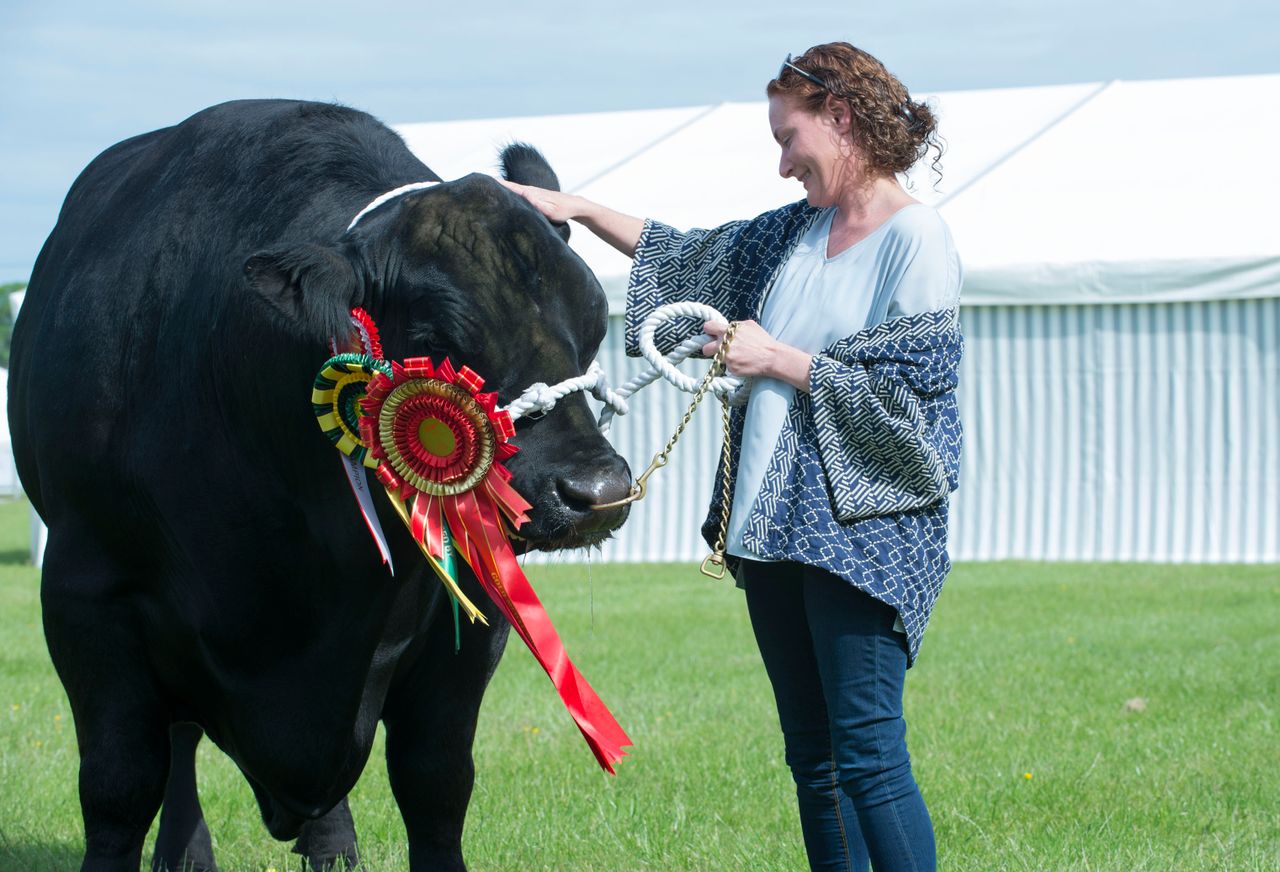Machinery zone and vintage display to feature at Cork Summer Show