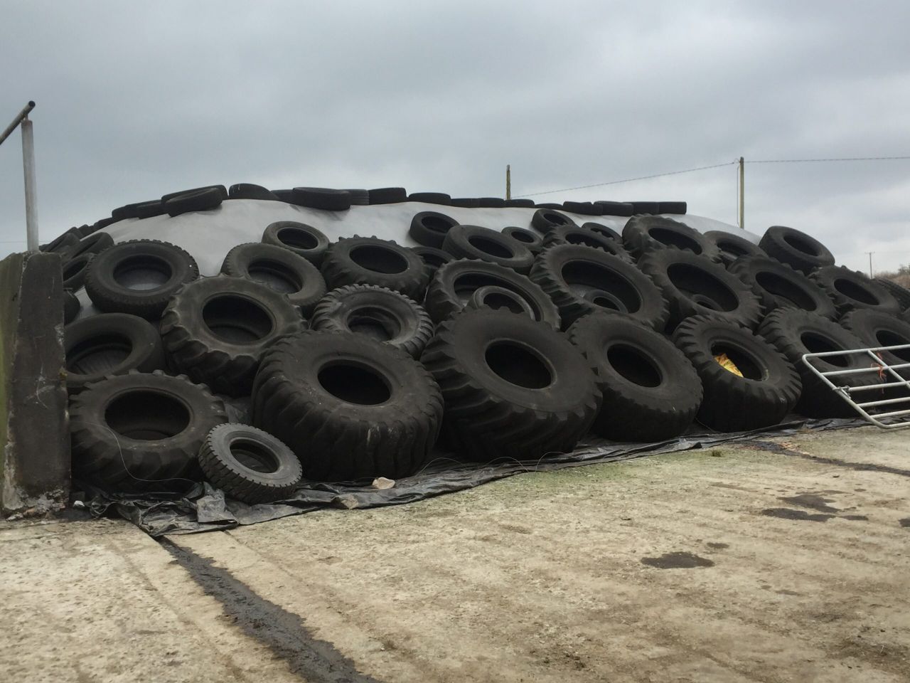 Pit silage should be the last resort for farmers who run short of grass - Teagasc