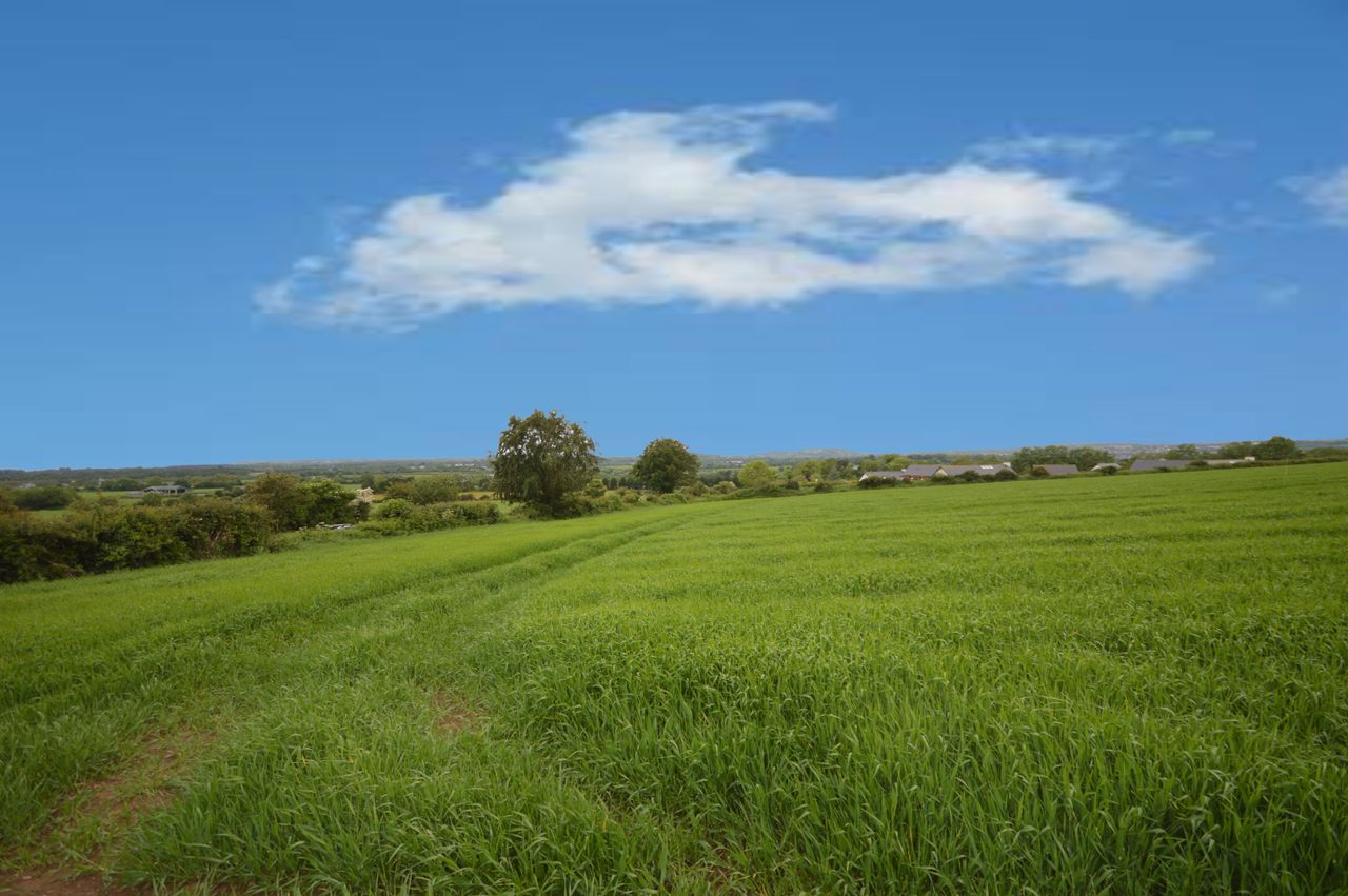 10ac lands in Co. Wexford enjoy coastal and mountain views