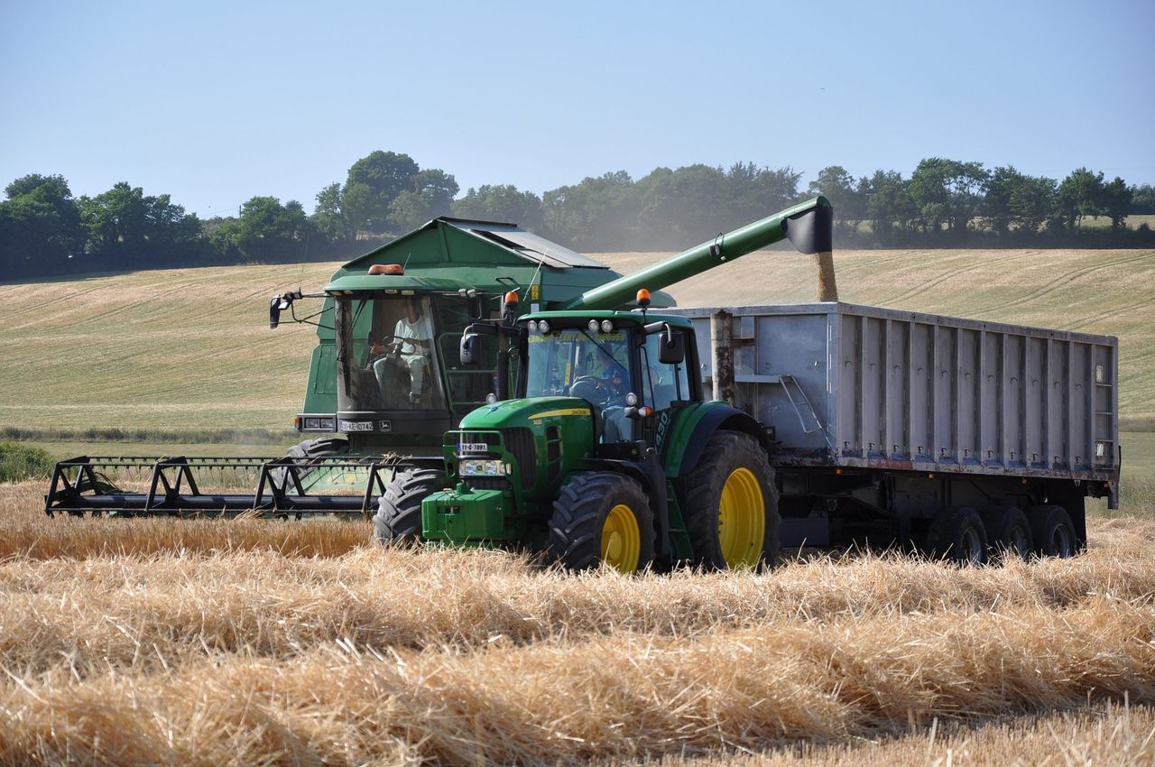 Malting barley growers furious at Boortmalt contract offer