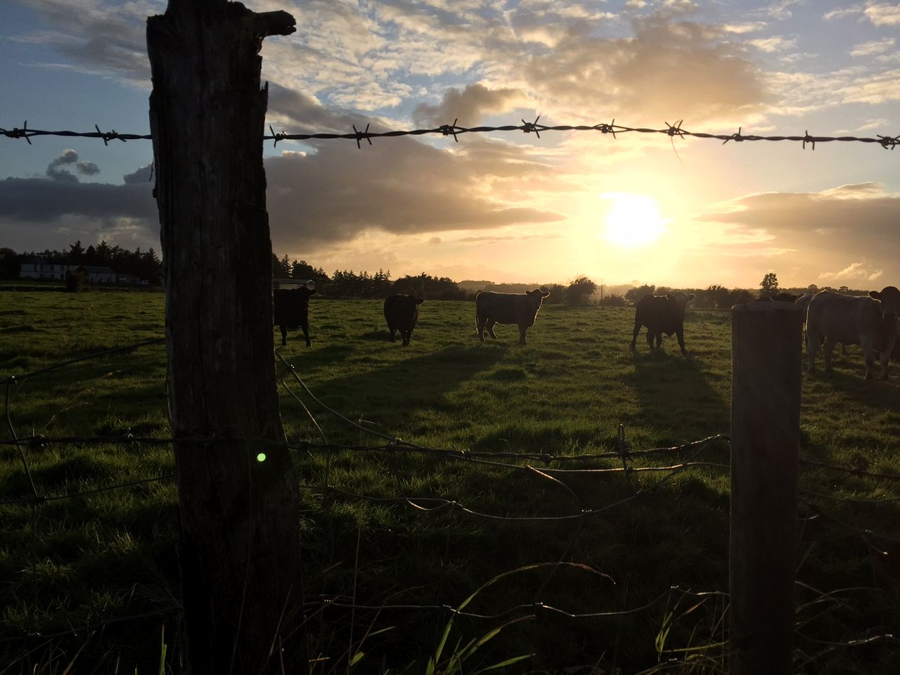 Embrace FARM to establish support group for the west of Ireland