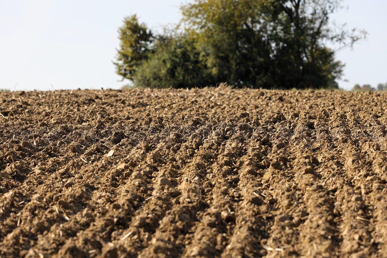 Has the potential of soils to sequester carbon been overestimated?
