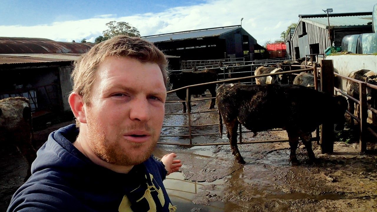 From farming simulator to YouTube farming superstar
