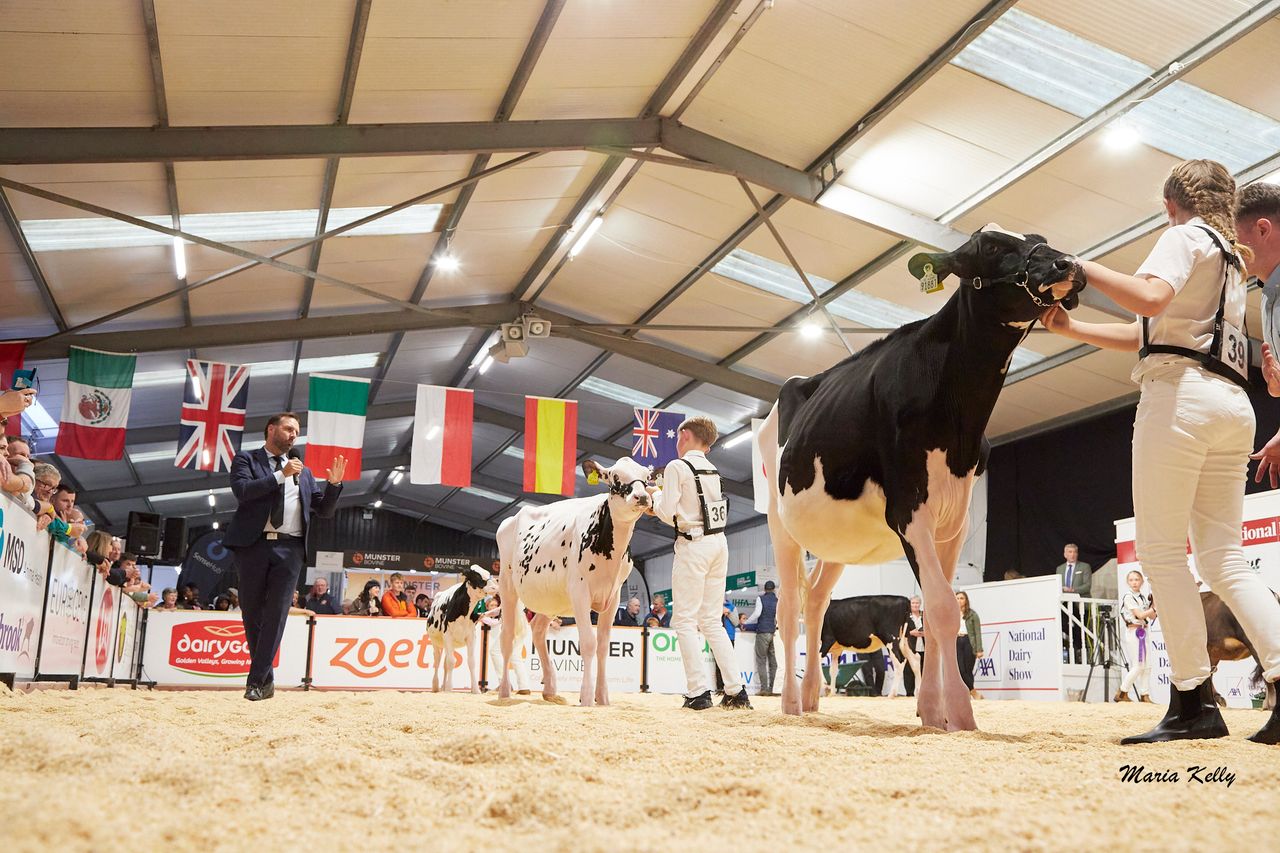 Watch: Dreams come to fruition at the AXA National Dairy Show