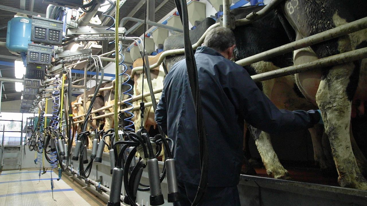 Winter-milk: Keeping cell counts under-control