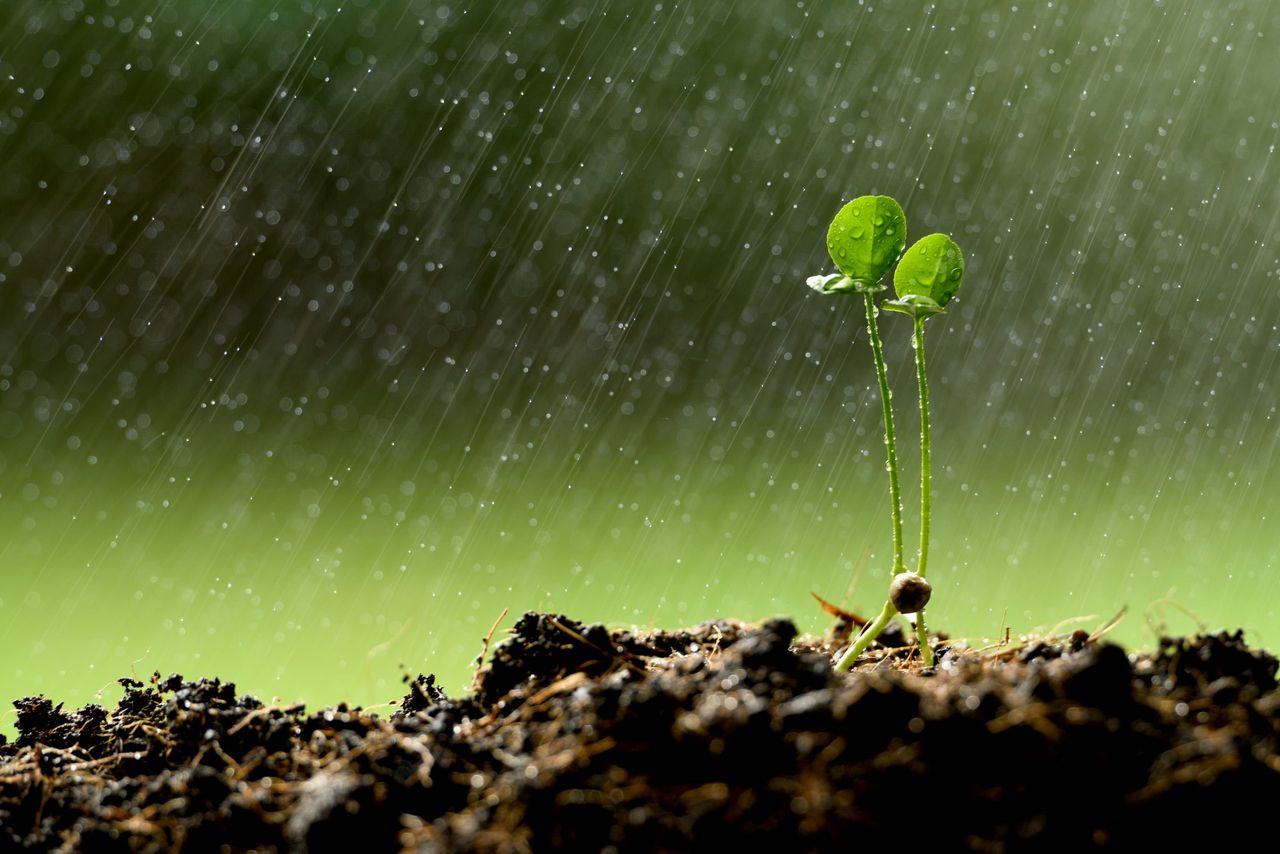 Met Éireann: Risk of thunderstorms for 10 counties