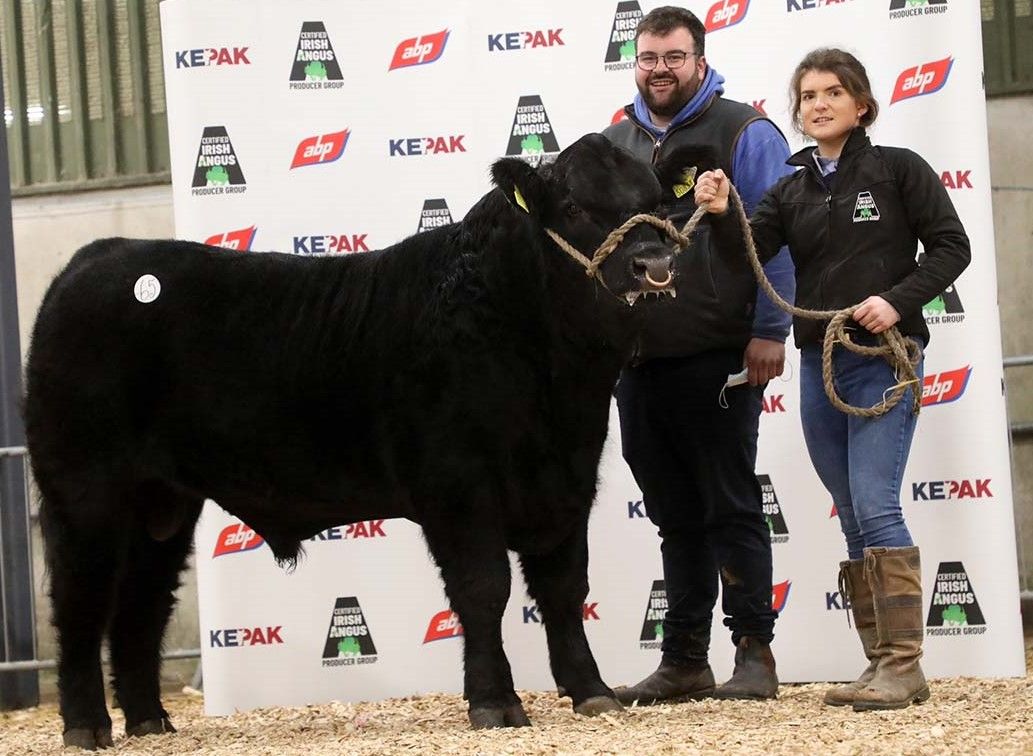 Certified Irish Angus embarks on genetics programme to reduce emissions