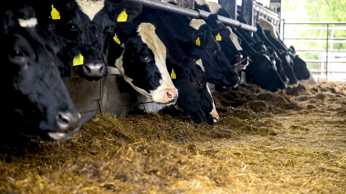 Farmers receive €10.7m in outstanding scheme payments