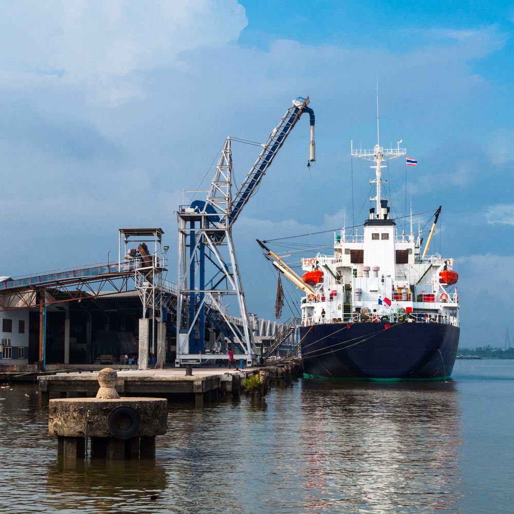 No delays in live export applications, nine in, two approved - Minister