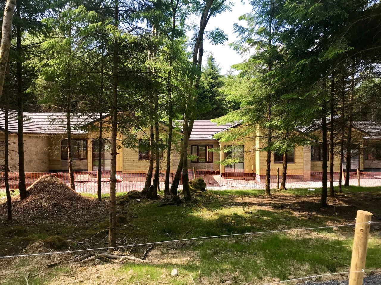 Into the woods: Unearthing the history of Longford's Center Parcs site