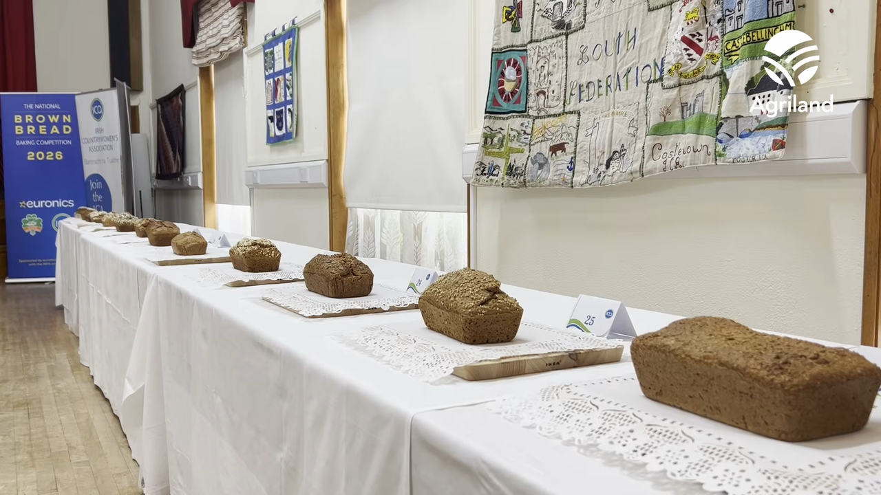The search for Ireland’s best brown bread begins