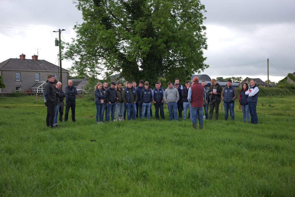 Discussion underway at the farm walk