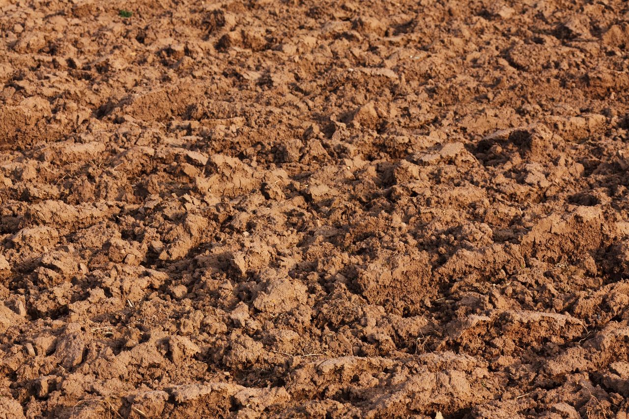 Tillage: Why are soil pH values so important?