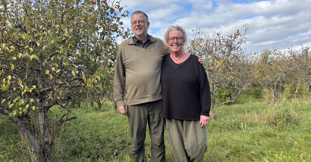 Watch: Danish couple growing an organic orchard by the sea