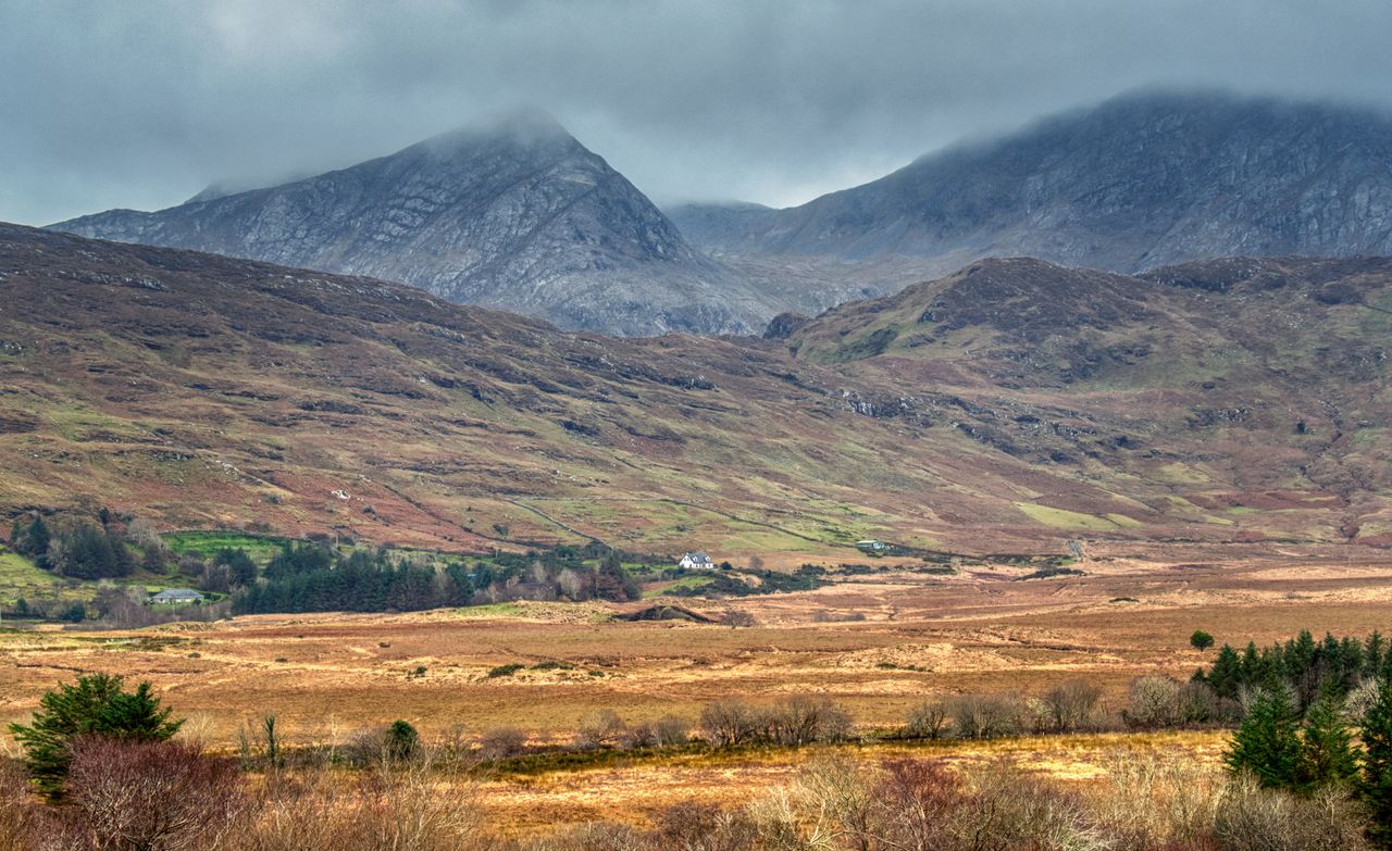 NPWS to remove deer fence in Connemara National Park