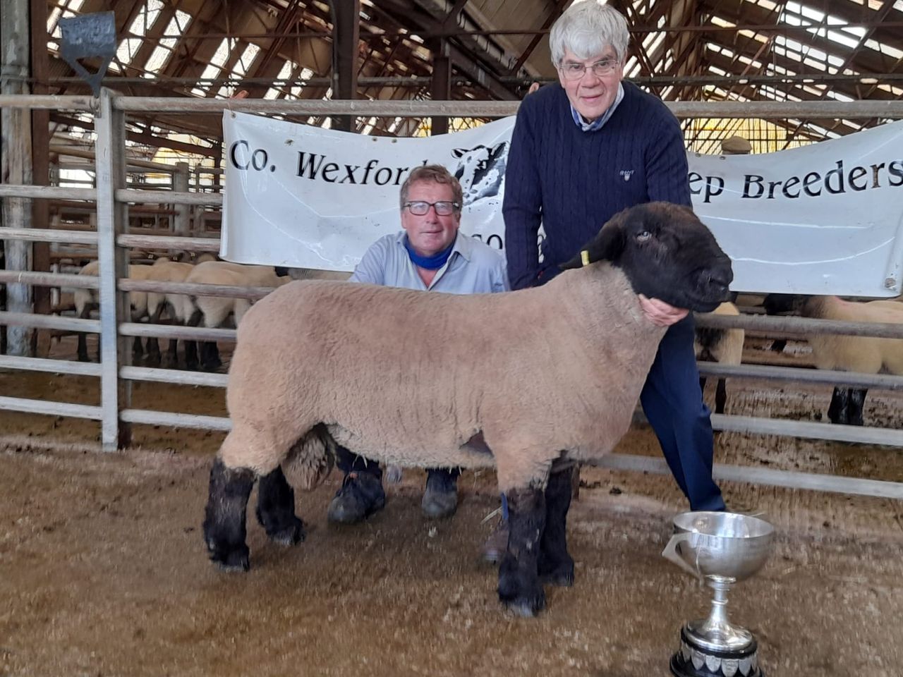 Suffolk ram tops the Wexford Sheep Breeders' sale at €820