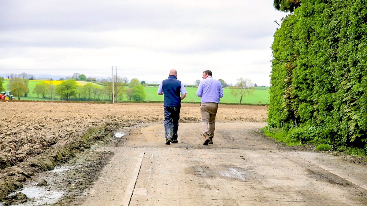 CROPS WATCH: Dealing with different winter wheat crops in 1 field