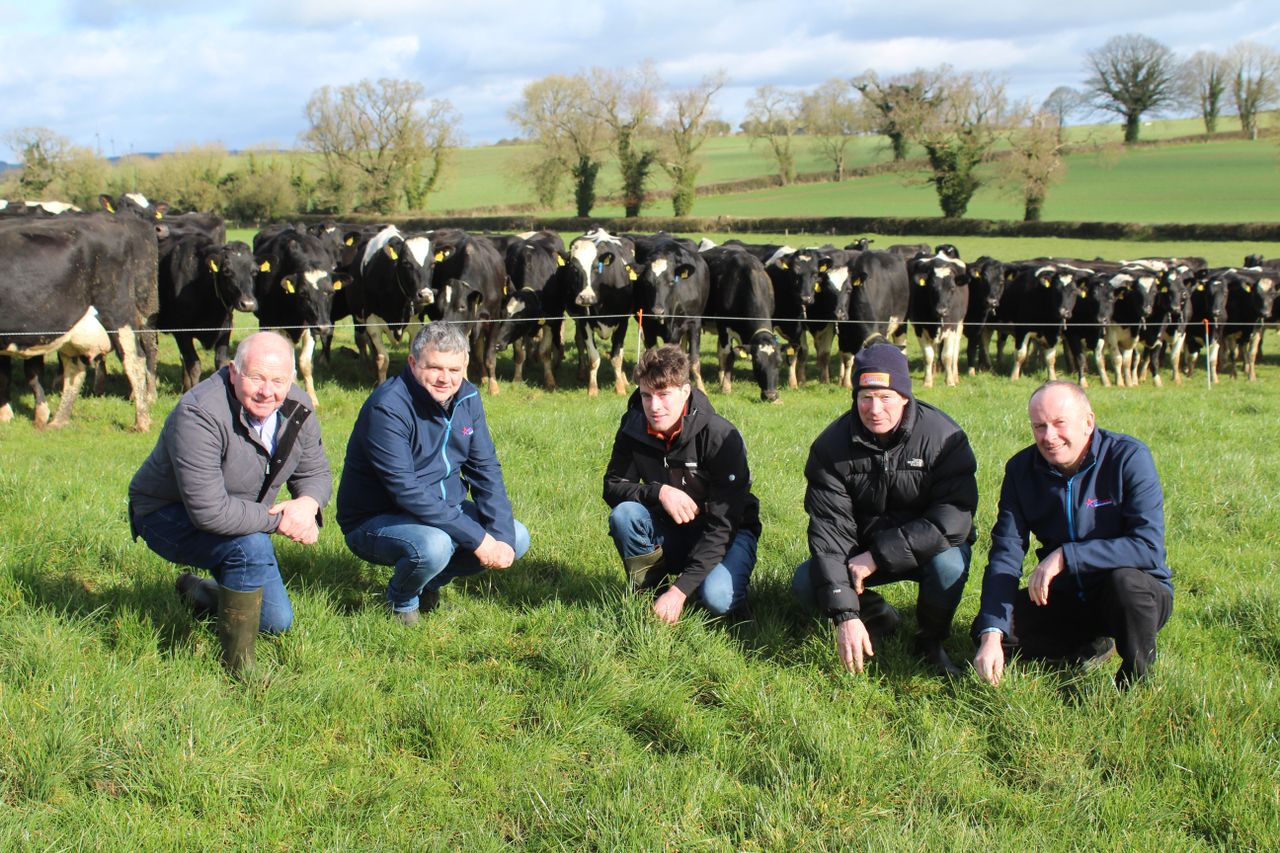 Focus: Improving feed self-sufficiency on 2 Munster dairy farms