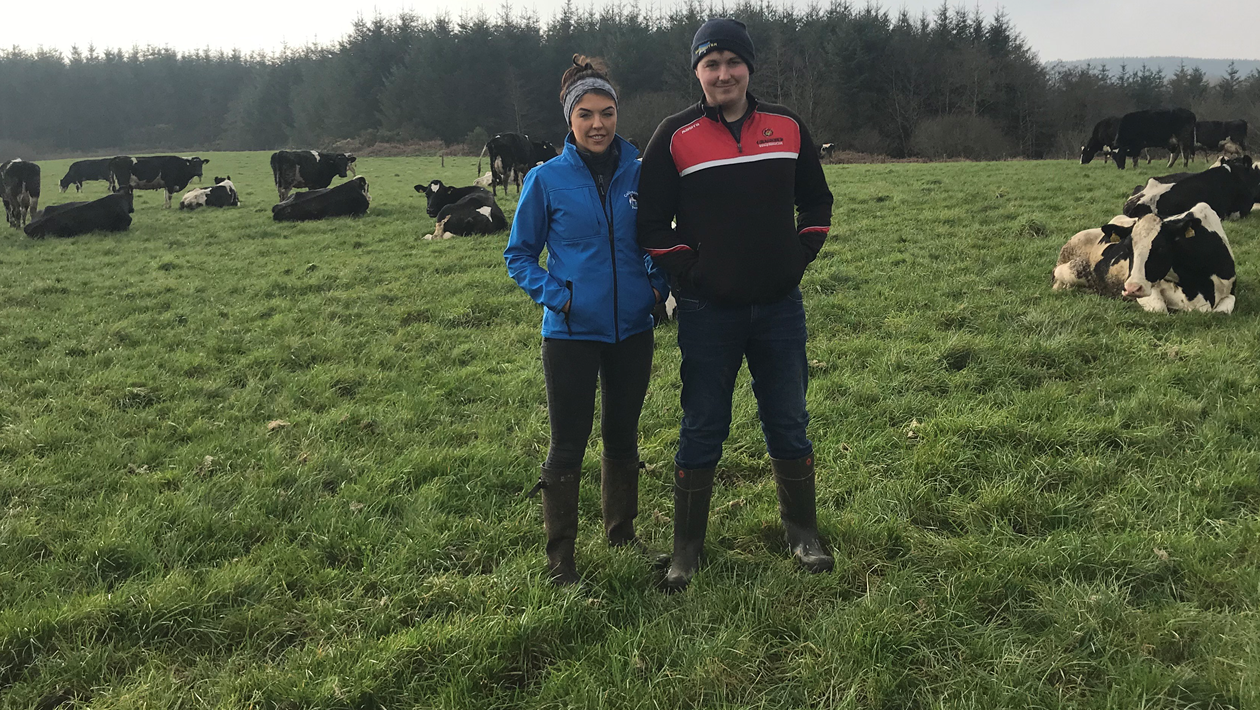 Dairy Focus: The journey from 50 to 120 cows at Cullencastle farm
