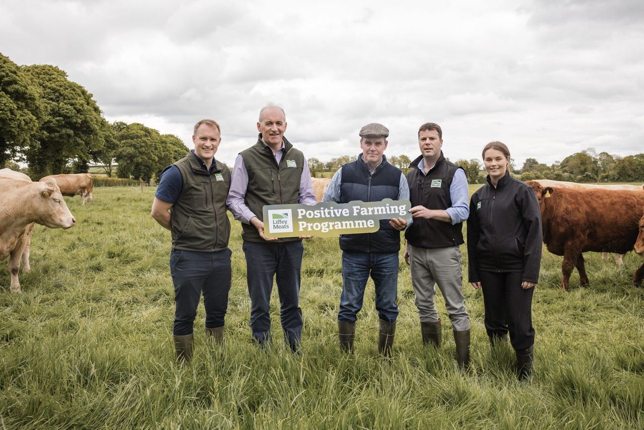 Liffey Meats launches sustainability scheme for beef farmer suppliers