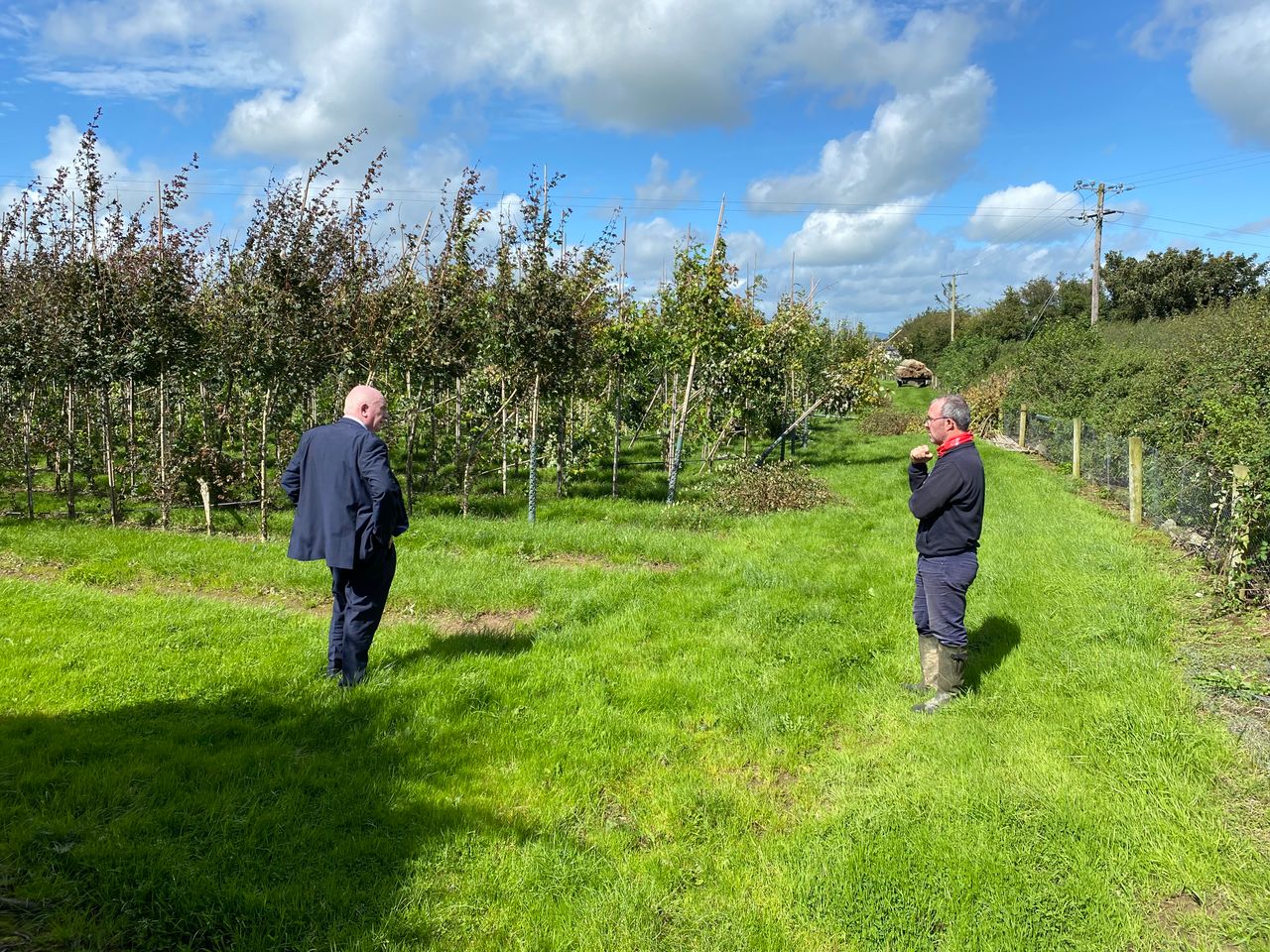 Minister of State urged to push for emergency horticulture fund