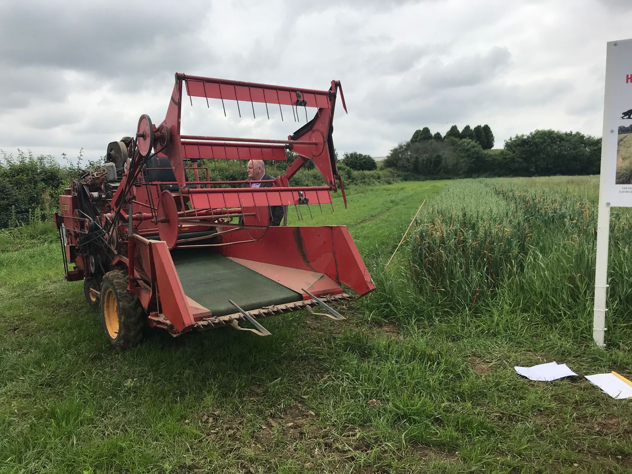 Growing heritage cereal varieties to help future growers