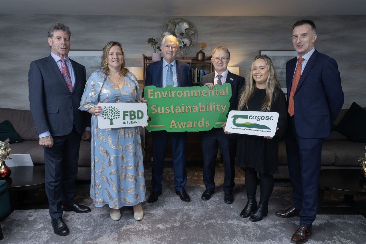 Environmental sustainability awards return with €30k prize fund