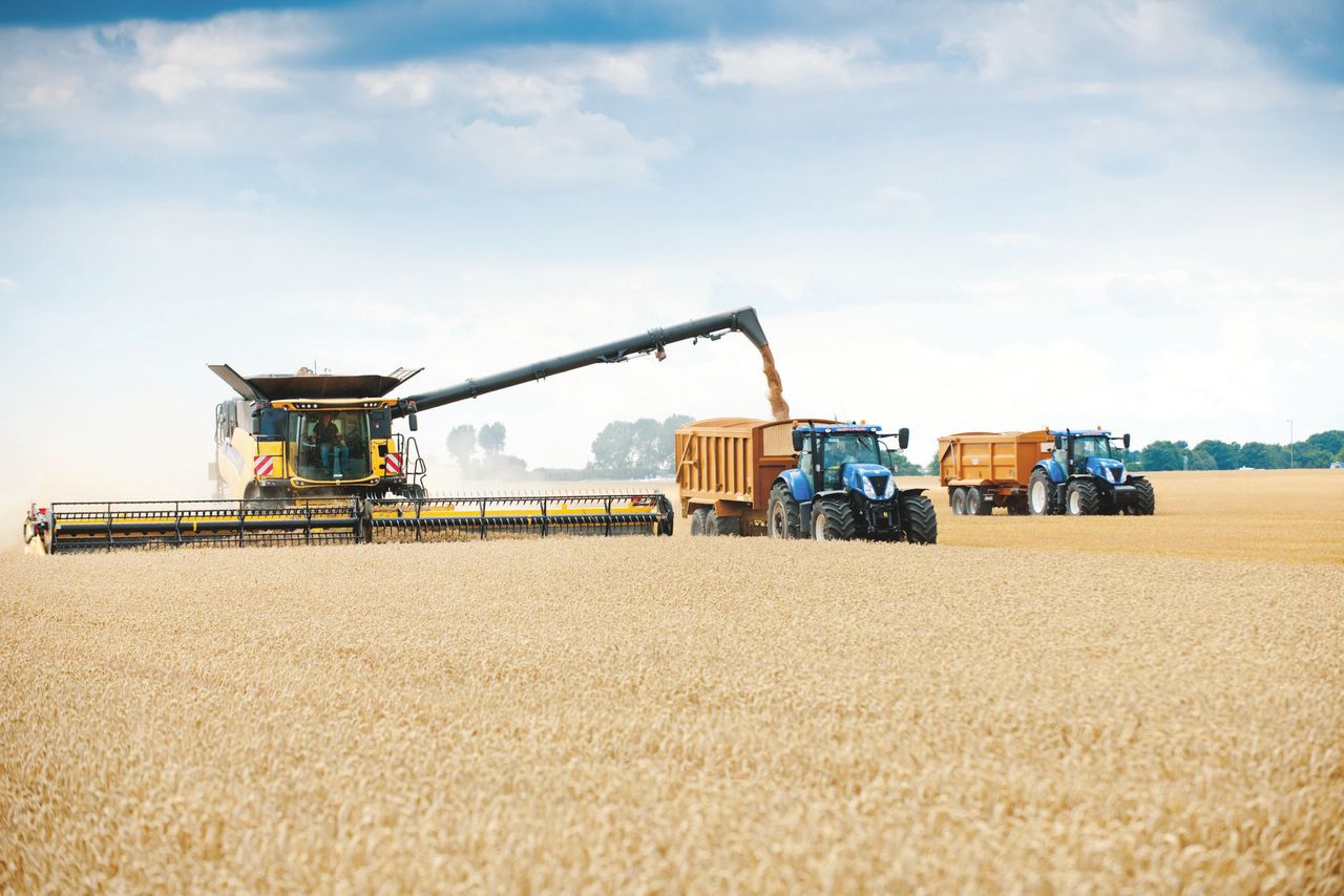 Heat wave on the continent hits crop yields (rain is the problem in Ireland)